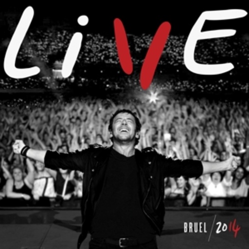 Patrick Bruel – Live 2014