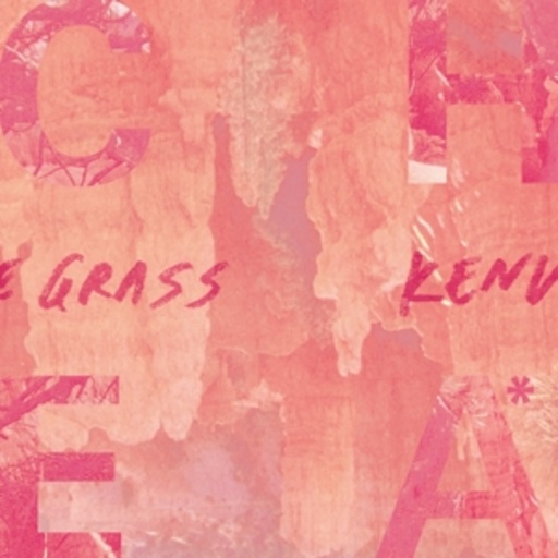 Cheatahs – Cut The Grass