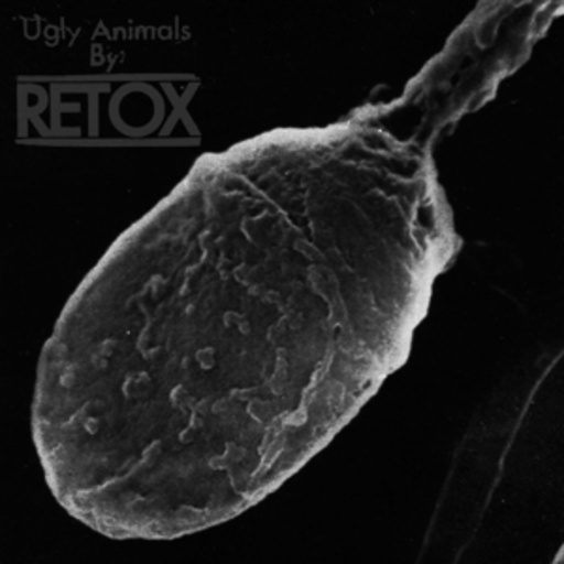 Retox – Ugly Animals