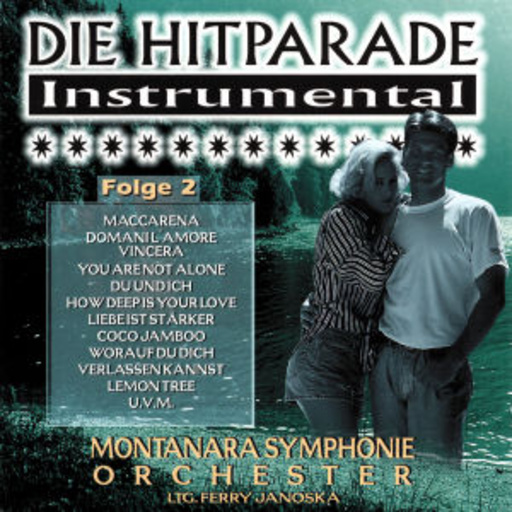 Diverse – Die Hitparade Instrumental 2