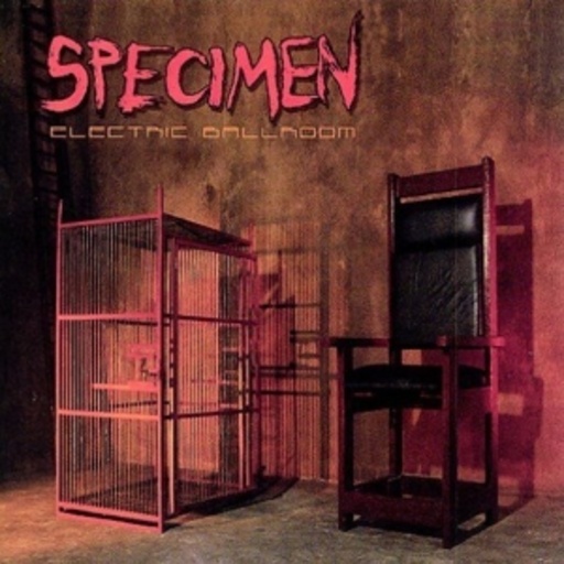Specimen – Electric Ballroom