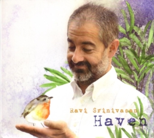 Ravi Srinivasan – Haven