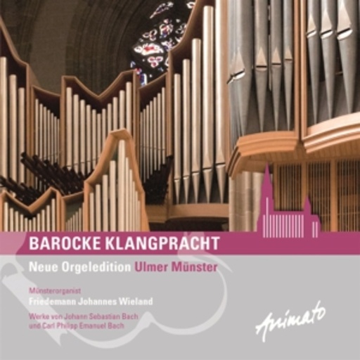 Friedemann Johannes Wieland – Barocke Klangpracht