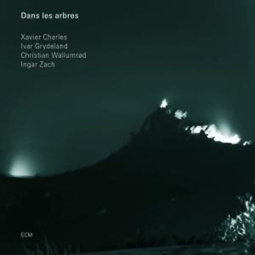 Charles/Grydeland/Wallumrod/Zach – Dans Les Arbres