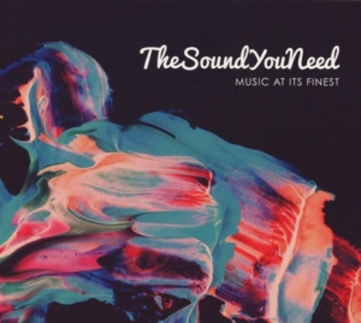 Diverse – The SoundYouNeed - Music At Its Finest