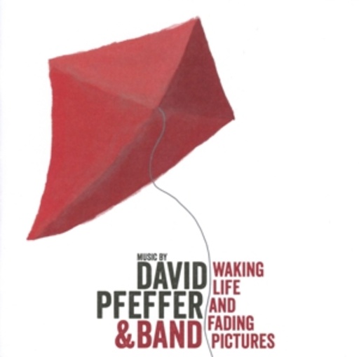 David Pfeffer & Band – Waking Life And Fading Pictures