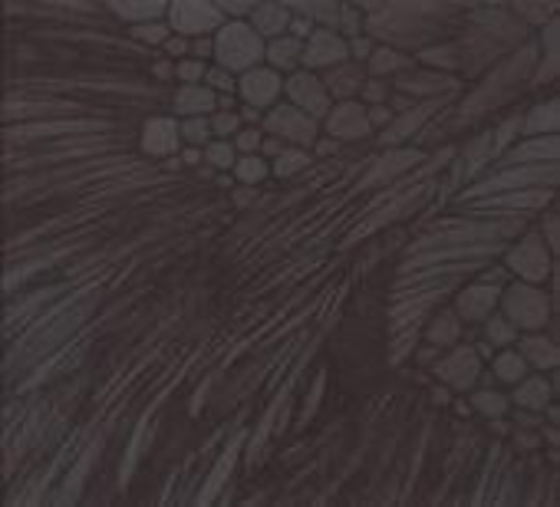 Calibre – Overflow