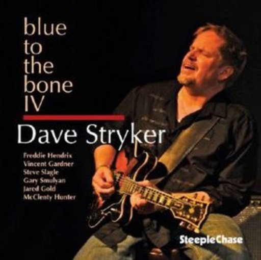 Dave Stryker – Blue To The Bone IV