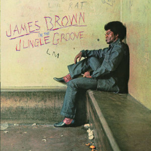 James Brown – In The Jungle Groove