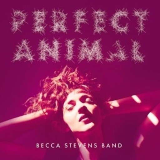 Becca Stevens Band – Perfect Animal
