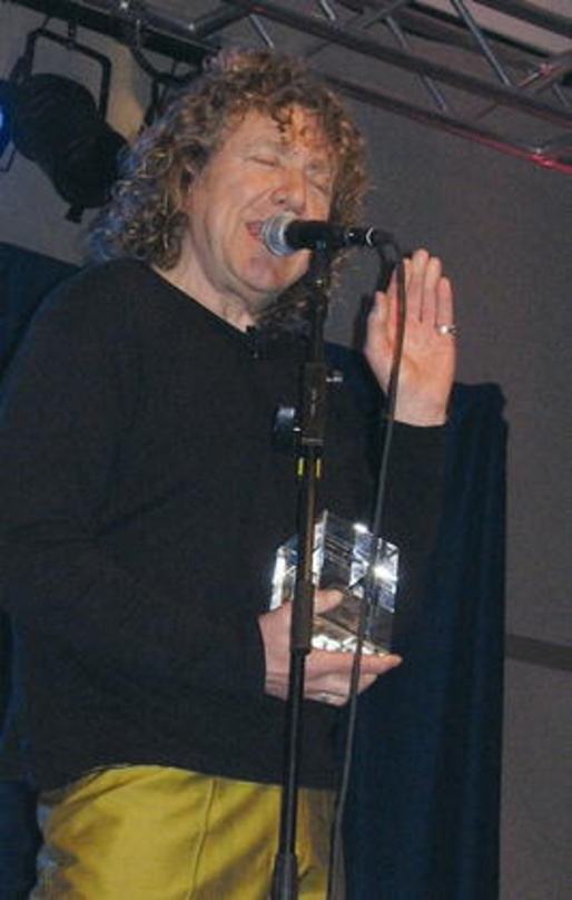 Erhielt nachträglich einen Grammy: Robert Plant