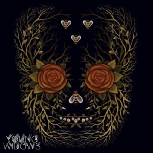 Young Widows – In And Out Of Youth And Lightness