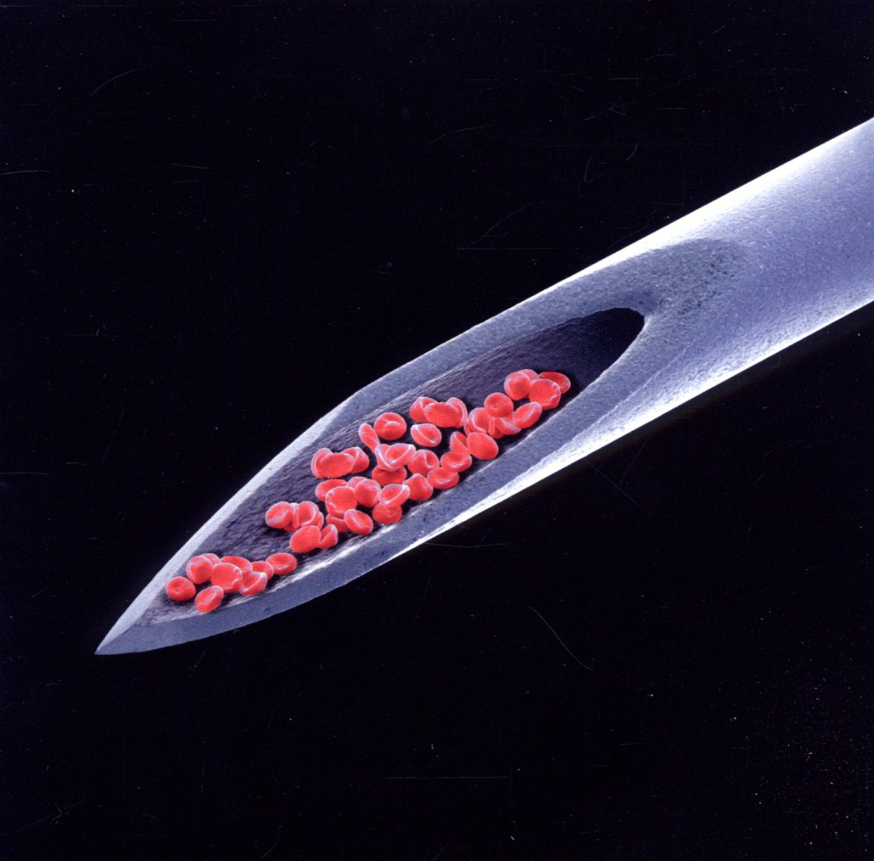 Peter Gabriel – Live Blood