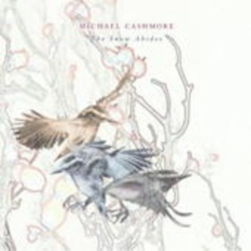 Michael Cashmore – The Snow Abides