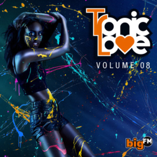 Diverse – Tronic Love Vol. 08 - Big FM