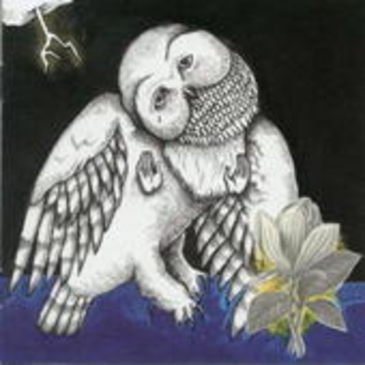 Songs:Ohia – The Magnolia Electric Co