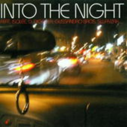 Diverse – Into The Night