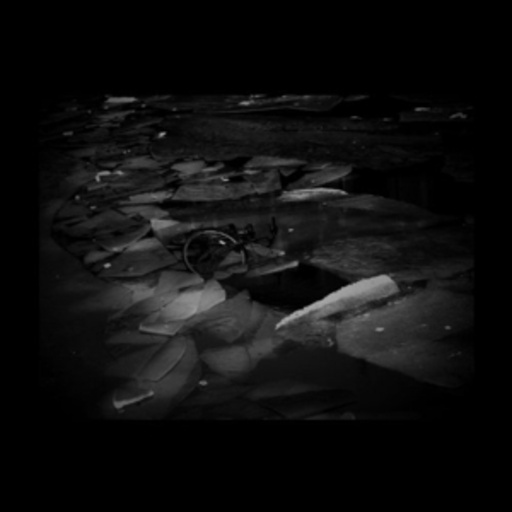 Trembling Blue Stars – Correspondence