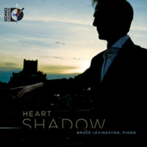 Bruce Levingston – Heart Shadow