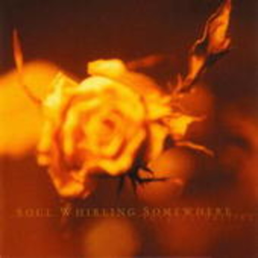 Soul Whirling Somewhere – The Great Barrier