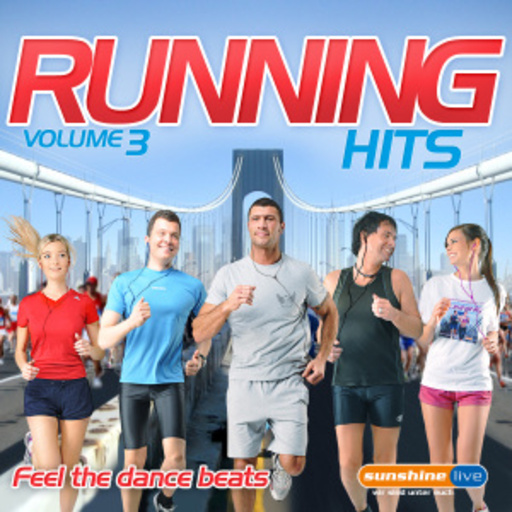 Diverse – Running Hits Vol. 3 - Feel The Dance Beats