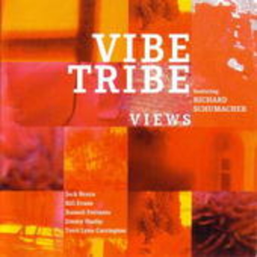 Vibe Tribe – Views