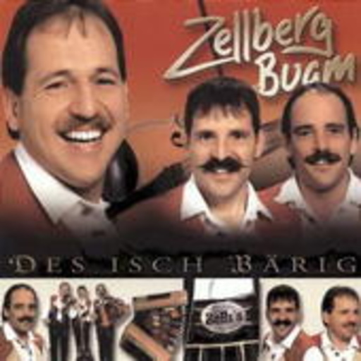 Zellberg Buam – Des isch Bärig