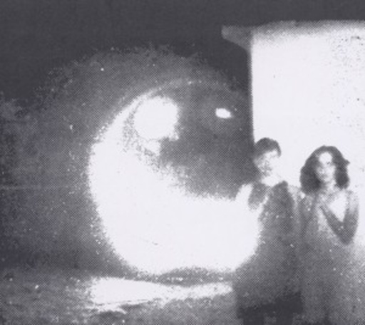 Other Lives – Tamer Animals