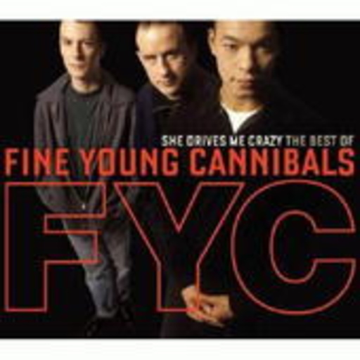 Fine Young Cannonballs – She Drives Me Crazy - Best Of