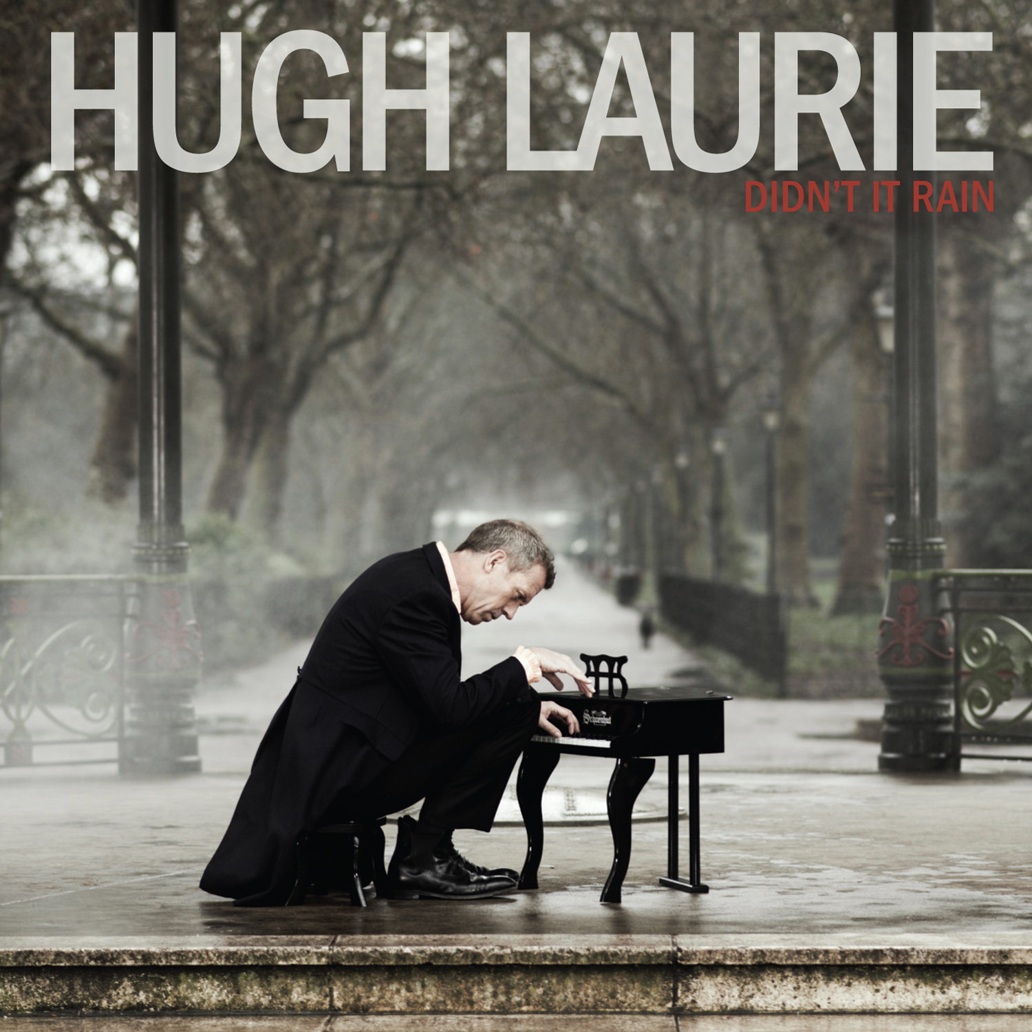 Hugh Laurie – Didn't It Rain