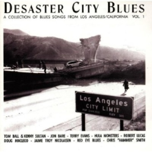 Diverse – Desaster City Blues