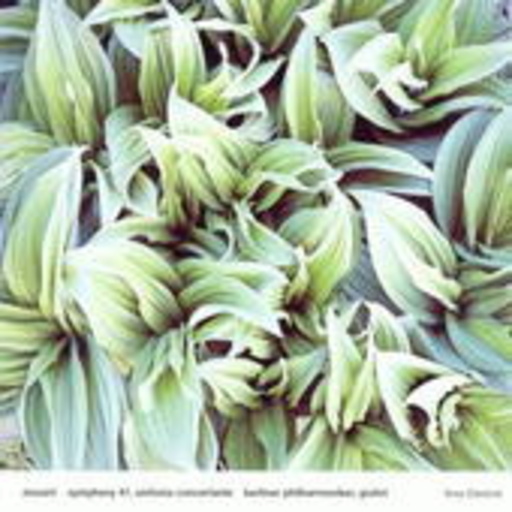 Symphony 41/Sinfonia Concertante (Music For You)