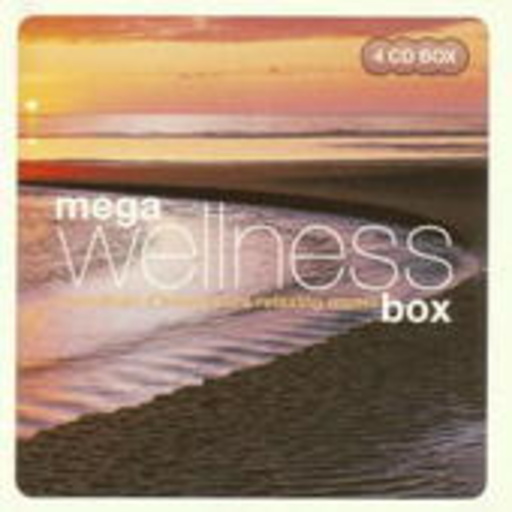 Diverse – Mega Wellnessbox - More Than 4 Hours Pure Relaxing Music