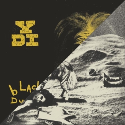 YDI – A Place In The Sun/Black Dust