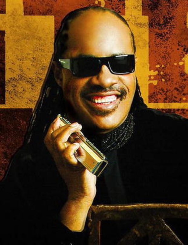 Erhält hochkarätige Auszeichnung: Stevie Wonder