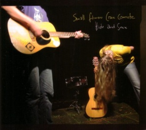Small Flowers Crack Concrete – Hide And Seek