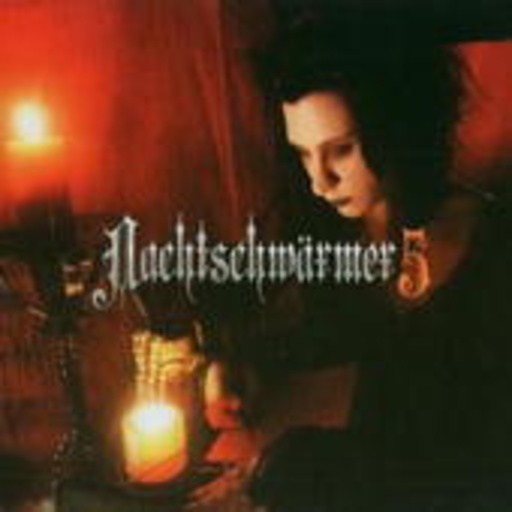 Diverse – Nachtschwärmer V