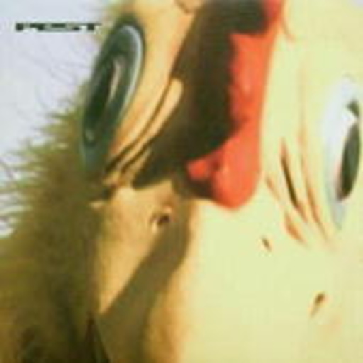 Pest – Chicken Spit