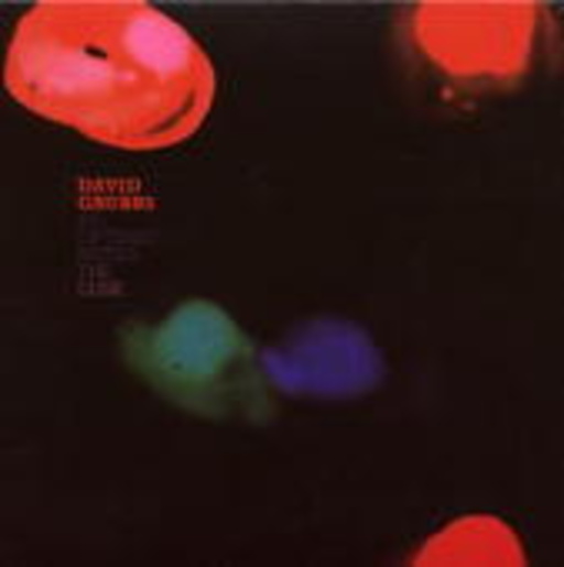 David Grubbs – An Optimist Notes The Dusk