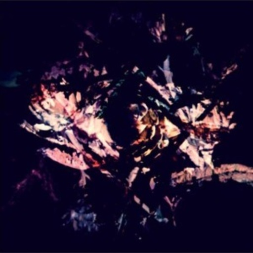 Fredrik – Flora
