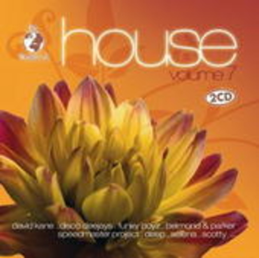 Diverse – The World Of House Vol. 7