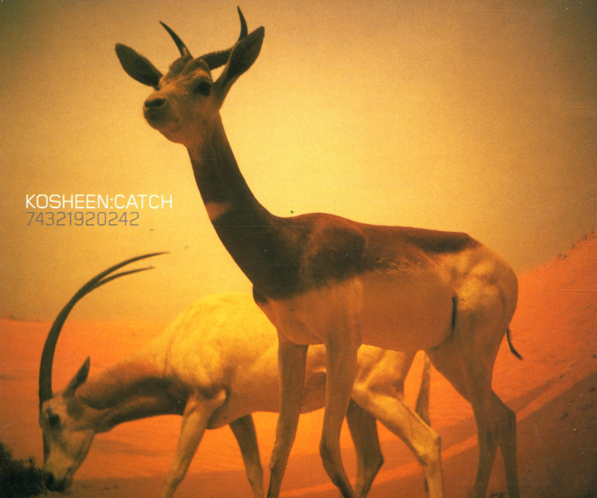 Kosheen – Catch