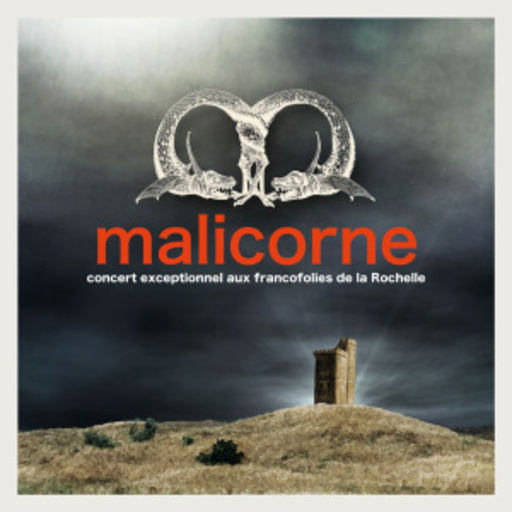Malicorne – Live Aux Francofolies 2010