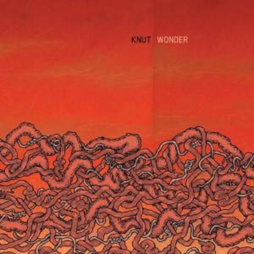 Knut – Wonder