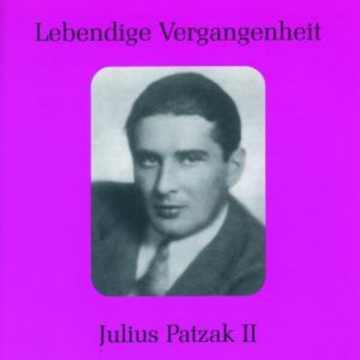 Julius Patzak – Lebendige Vergangenheit Julius Patzak II