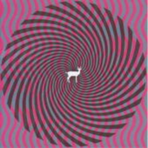 Deerhunter – Cryptograms