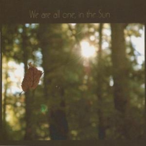 Diverse – Tribute To Robbie Basho - We Are All One, In The Sun