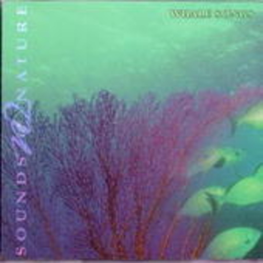 The Rainbow Orchestra – Sounds Of Nature - Whale Songs