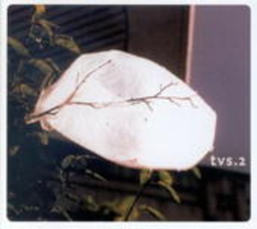 TVS – 2