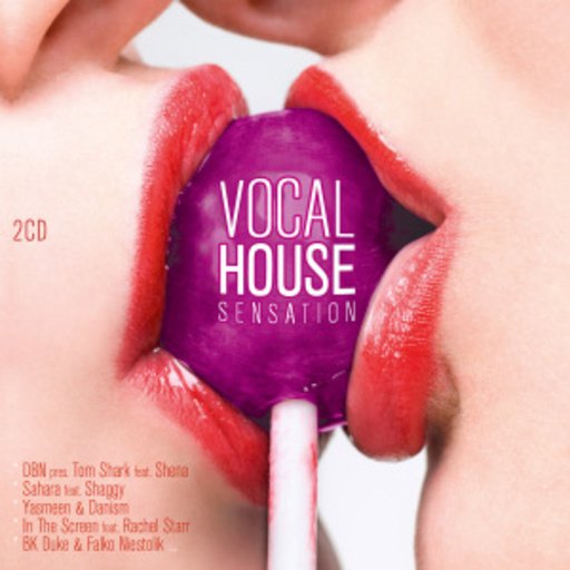 Diverse – Vocal House Sensation
